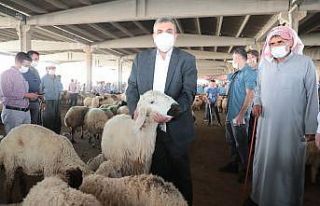 Başkan Beyazgül hayvan borsası esnafını ziyaret...
