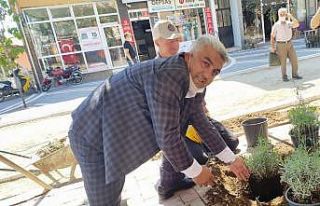 Başkan Çalışkan, çevre düzenleme ve peyzaj çalışmalarına...