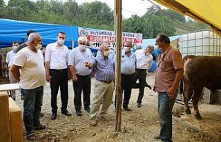 Başkan Demirtaş: "Kurbanlıklar pazara inmeden...