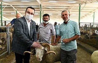 Başkan Kanar hayvan pazarını ziyaret etti