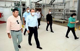 Başkan Seçer, şehit aileleri için kurban kesti