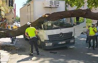 Başkent’te çınar ağacı kamyonun üzerine devrildi