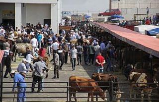 Bayburt’ta Kurban Bayramı heyecanı