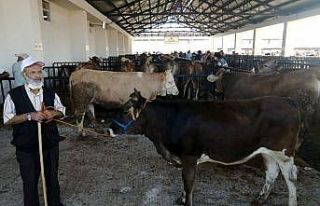 Bayburt’ta kurbanlıklar pazara indi