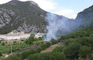 Bayırköy’de orman yangını