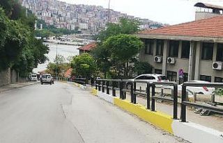 Behçet Kemal Çağlar Caddesi renklendi