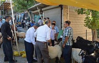 Besni hayvan pazarında satışlar devam ediyor