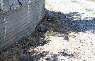 Besni’de hırsızlık şüphelisi adliyeye sevk...