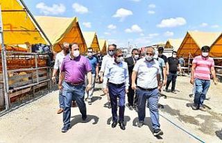 Beylikdüzü modern kurban satış ve kesim alanı...