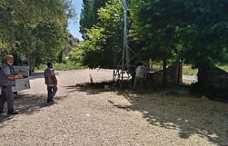 Beypazarı Belediyesi piknik ve mesire alanlarını...