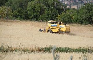 Beyşehir’de hububat tarlalarında hasat devam ediyor