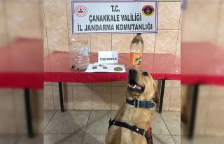 Biga’da uyuşturucu operasyonu