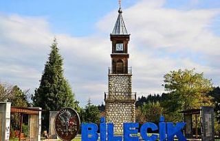 Bilecik en az korona virüs vakasının görüldüğü...