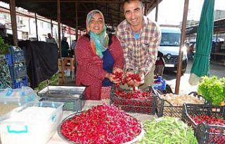 Bilecik’te bu yıl 3 bin ton ’napolyon’ cinsi...