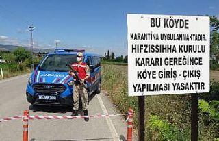 Bin 392 nüfuslu köy, Kurban Bayram arefesinde karantinaya...