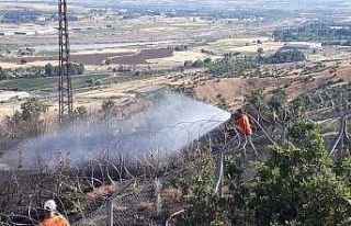 Bingöl’de iki ayrı noktada çıkan ormanı yangını...