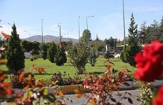 Bingöl’de üretilen 150 bin bitki toprakla buluştu