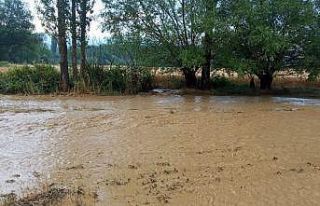 Bir anda yağan yağmur ve dolu ile köyü sel bastı