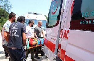 Bolu Tabiat Parkı yolunda iki otomobil çarpıştı:...