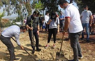 Bozyazı’da 15 Temmuz şehitleri anısına fidan...