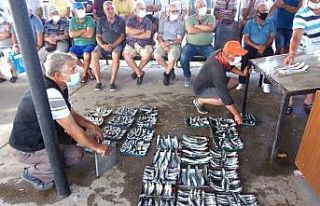 Bu balıklar açık artırma ile satılıyor