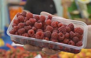 Bu meyveyi yemek için 20 gününüz var