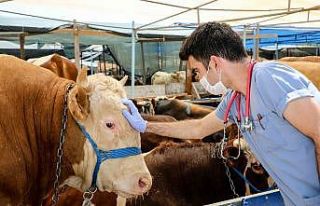 Buca’nın kurban pazarları denetlendi