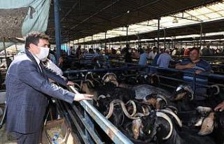 Burdur Valisi Arslantaş, Canlı Hayvan Pazarında...