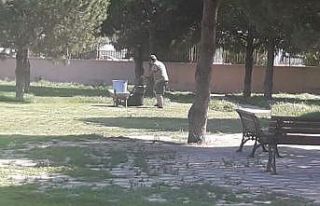 Burhaniye’de öğretmenler çim biçti