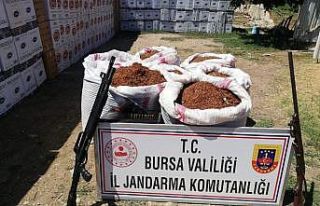 Bursa’da 260 kilo kaçak tütün ele geçirildi