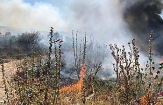 Bursa’da anız yangınları tehlike saçıyor