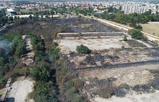 Bursa’da arazi yangını kontrol altına alındı