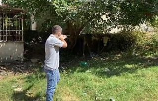 Bursa’da kaçan boğa operasyonu