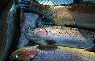 BUÜ’lü akademisyenler yeni bir bakteri türü...