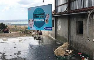 Büyükçekmece’de uygulamalı kurban kesimi kursu
