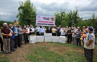 Büyükşehir Belediyesi’nden meyve üreticisine...