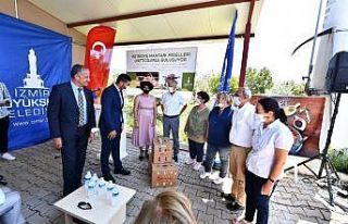 Büyükşehir’den istiridye mantarı üretimine...