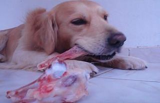 Büyükşehir’den vatandaşlara sakatat uyarısı