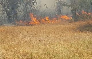 Çanakkale’da korku dolu anlar...
