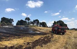 Çanakkale’de anız yangını ormana sıçramadan...