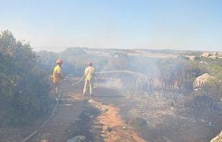 Çanakkale’de makilik alan yangını