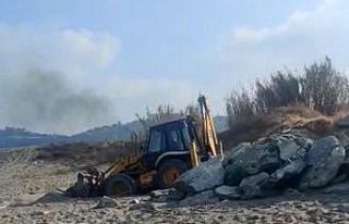 Caretta caretta yuvalama alanına giren iş makinesi...
