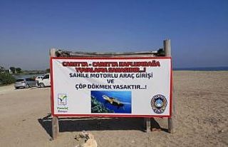 Caretta caretta yuvalarını korumak için kazılan...
