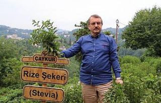 ÇAYKUR Eski Genel Müdürü İmdat Sütlüoğlu iddialara...