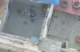 Çete operasyonunda polise pitbull şoku