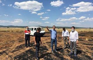 "Çiftçilerimizin zararı karşılanacak"