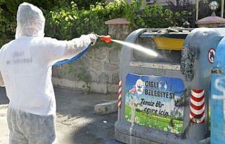 Çiğli’de haşereyle etkin mücadele