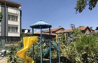 Çocuk Parkındaki tarihi çınar ağacı devrildi:...