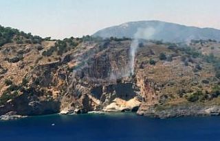 Dalaman’da orman yangını