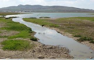 Değirmi Göleti’nde leylek yoğunluğu